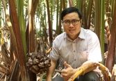 Kiếm tiền từ việc “massage dừa”