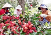 Sau dịch Corona, cần mở rộng thị trường xuất khẩu tránh phụ thuộc Trung Quốc
