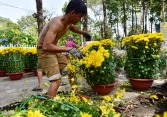 Bao giờ mới hết cảnh “đập hoa” chiều 30 Tết?