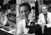 Rita Levi-Montalcini, nhà khoa học vĩ đại và khám phá đột phá về thần kinh