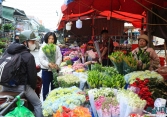 Nhộn nhịp chợ hoa Quảng An ngày Quốc tế Phụ nữ 8/3