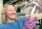 Carol W. Greider- Nhà Khoa học nghiên cứu telomere và telomerase