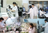 Trách nhiệm người đứng đầu trong triển khai nhiệm vụ phát triển KHCN, chuyển đổi số của cơ quan, tổ chức