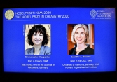 Cặp nữ khoa học gia Emmanuelle Charpentier và Jennifer Doudna 'viết lại mật mã sự sống'