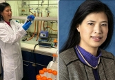 GS Nguyễn Thị Kim Thanh: Nhà khoa học gốc Việt mở hướng ứng dụng hạt nano trong điều trị ung thư