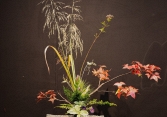 Triển lãm Ikebana Hà Nội lần thứ VIII: “Tương giao” – Cuộc đối thoại giữa cỏ cây và tâm hồn