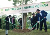 Vinamilk chung tay cùng người dân vừa trồng cây gây rừng, vừa tạo sinh kế