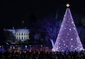 Những cây thông Noel đẹp nhất Thế giới
