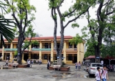 Hà Nội cần thống nhất trong quản lý cây xanh ở trường học