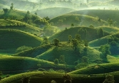 Vẻ đẹp Việt Nam nhìn từ trên cao lên tạp chí ảnh National Geographic 