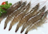 Giá thực phẩm ngày 9/10: Tôm thẻ giảm 30.000 đồng/kg