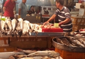 Hải sản ngoại ồ ạt vào chợ, siêu thị