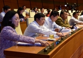 Quốc hội thông qua miễn thị thực cho người nước ngoài tới các khu kinh tế đặc biệt trên biển