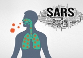 Bệnh SARS đang có nguy cơ quay trở lại nguy hiểm thế nào?