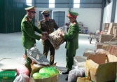 Liên tiếp bắt giữ số lượng lớn thực phẩm bẩn tại Thanh Hóa