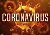 3 bệnh nhân Việt Nam nhiễm virus corona đã đi qua những đâu?