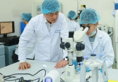 Việt Nam: cấy phôi nhân bản thành công, chờ đón những chú bò nhân bản vô tính chào đời trong năm 2020