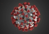 Tổ chức Y tế thế giới (WHO) giải đáp các thắc mắc về virus corona