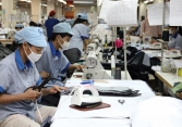 Dịch bệnh đang ảnh hưởng tiêu cực đến nguồn cung nguyên liệu cho các doanh nghiệp