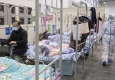 Chuyên gia Hồng Kông đưa ra giả thuyết về 'nghi phạm' làm lây lan virus covid-19