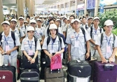 Cục Quản lý lao động xây dựng phương án đưa lao động Việt Nam tại Nhật, Hàn về nước