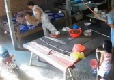 Phạt tù từ 2 - 5 năm với hành vi ngược đãi, đánh đập bố mẹ già