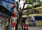 Các cơ sở kinh doanh không chấp hành quy định đóng cửa sẽ bị xử nghiêm