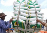 Việt Nam chưa cần phải quá lo lắng về an ninh lương thực