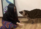 Làm gì khi ở nhà tránh dịch: Thử mang động vật hoang dã vào tận phòng với công nghệ 3D