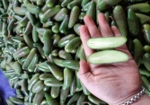 Người dân đổ xô đi mua bơ hạt tí hon 100.000 đồng/kg
