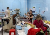 TP.HCM: Trong tuần qua ghi nhận ghi nhận 6 ổ dịch nhỏ sốt xuất huyết