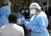 Có ít nhất 2 nhóm nghiên cứu thành công kháng thể tiêu diệt virus corona