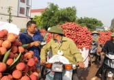 Gần 200 thương nhân Trung Quốc chuẩn bị sang Việt Nam mua vải thiều