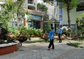 Một học sinh đã tử vong trong vụ bật gốc cây cổ thụ ở trường học