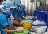 Đại sứ EU tại Việt Nam: EVFTA là cơ hội mà các doanh nghiệp phải giành lấy