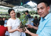 Đại gia Hà Nội chi 5 tỷ đồng mua giỏ lan đột biến