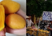 Xoài Trung Quốc đổ bộ chợ TP HCM với giá rẻ