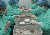 Vaccine ngừa Covid-19 của Việt Nam sắp được thử nghiệm trên người