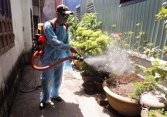 12 tỉnh có số ca mắc sốt xuất huyết trong tuần liên tục tăng cao 
