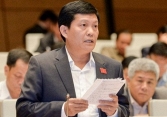 'Lịch sử Quốc hội chưa từng có việc đại biểu mang hai quốc tịch'