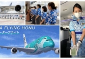 Các hãng hàng không sáng tạo cách kiếm tiền mới để bù đắp thiệt hại do đại dịch