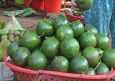 Giá bơ booth và chanh dây 'lao dốc'