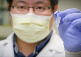 Nghiên cứu mới: Tìm thấy kháng thể siêu nhỏ có thể vô hiệu hóa virus Covid-19