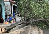 Bão số 5 làm 2 người thiệt mạng và 31 người bị thương