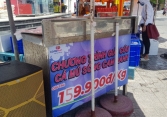 Hơn 1.000 tấn cá mú tại Khánh Hòa thiếu đầu ra, giảm giá một nửa vẫn tiêu thụ chậm