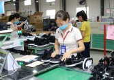 Bất chấp đại dịch, Nghệ An thành lập mới 1.326 doanh nghiệp trong vòng 9 tháng