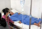 Nhiều người bị rắn lục đuôi đỏ cắn khi đang dọn dẹp nhà sau lũ