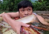 Giáo viên kết bè chuối vượt lũ tiếp tế lương thực cho học sinh vùng lũ bị cô lập