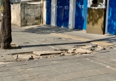 Hà Nội: Đá lát vỉa hè được quảng cáo độ bền 70 năm nhưng đã bung vỡ chỉ sau 2 năm sử dụng