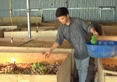 Thanh niên Hà Nội thu tiền tỷ mỗi năm nhờ vào nghề nuôi côn trùng